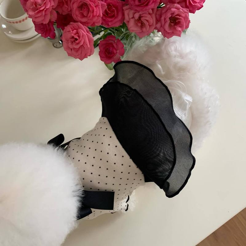 Pet Spring and Autumn Bow Dress Dog Cat Strap Top Cute Base Shirt Dog Dresses for Small Dogs Puppy Clothes