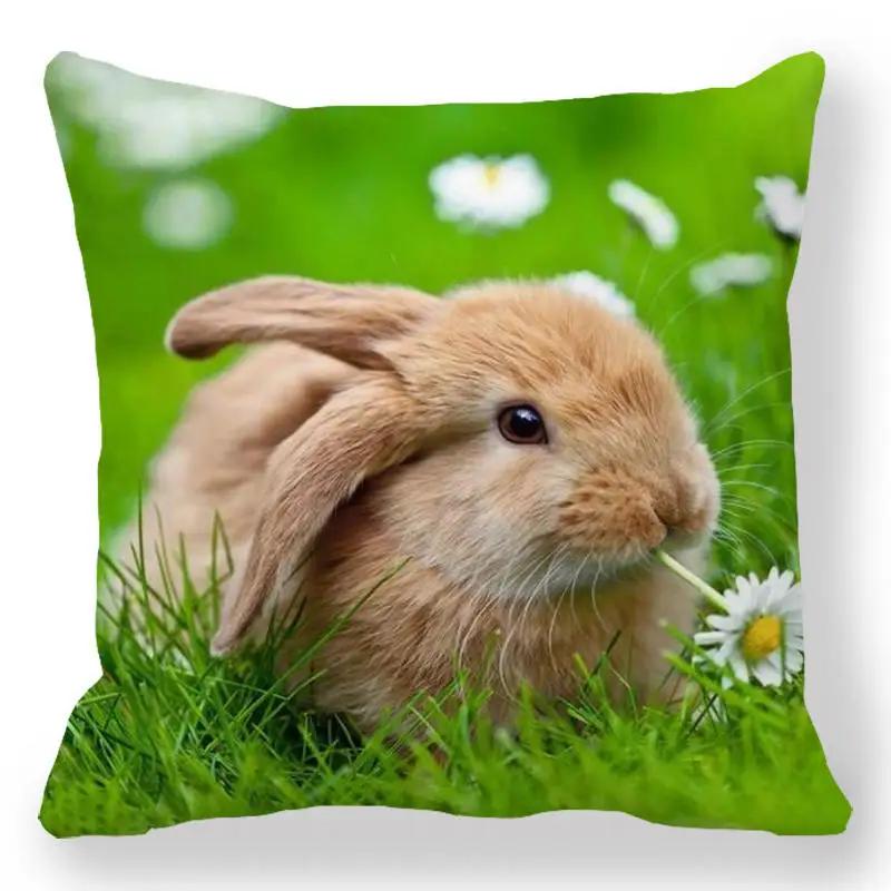 Easter Bunny Print Cushion Cover Spring Easter Egg Hare Pillowcase Home Decoration 40/45/50/60cm