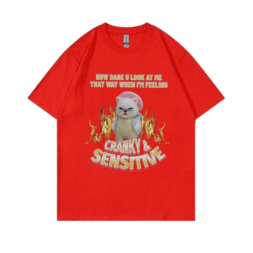 How Dare U Look At Me That Way When Im Feeling Cranky Sensitive Kawaii Cat Funny Meme Tshirt Unisex Women Casual Cotton T Shirts