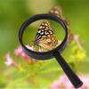Jewelry Educational Reading Glass Lens Magnifying Loupe Magnifier For Reading Books Newspaper