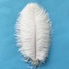 1PCS Fluffy Ostrichs Feathers 40-45cm Colorful Ostrichs Feather Plumes for Wedding Table Centerpieces Carnaval Party Decor