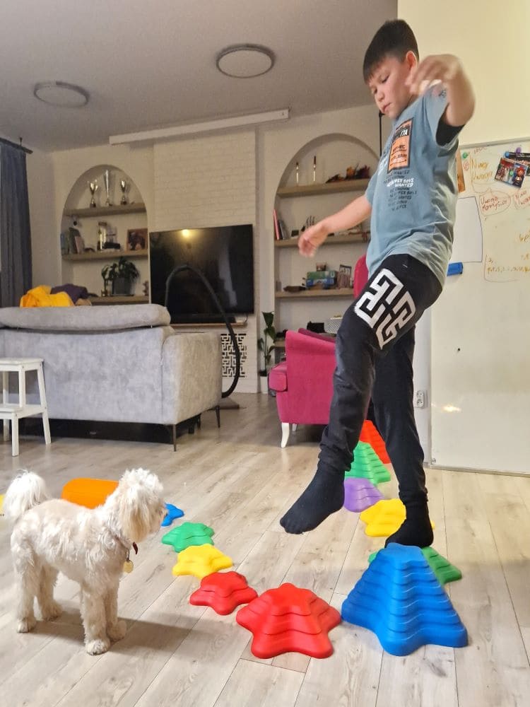 Sensory path river stones Childrens balancing stones  stepping stones  motor skills and coordination Starfish 11 pcs