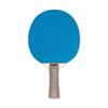 Butterfly Table Tennis Rubber Wood Multicolor One Size