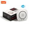 90-220Vac EU Plug WIFI Natural Gas Detector Tuya APP Push Message Coal Gas Sensor LPG Alarm NC/NO Relay Shut Off DN10/15 Valve