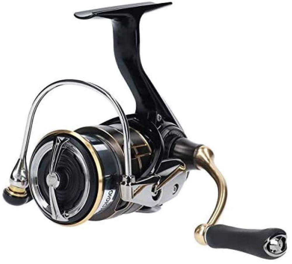 Daiwa Spinning Reel 19 Ballistic LT2500SS-CXH (2019 Model)