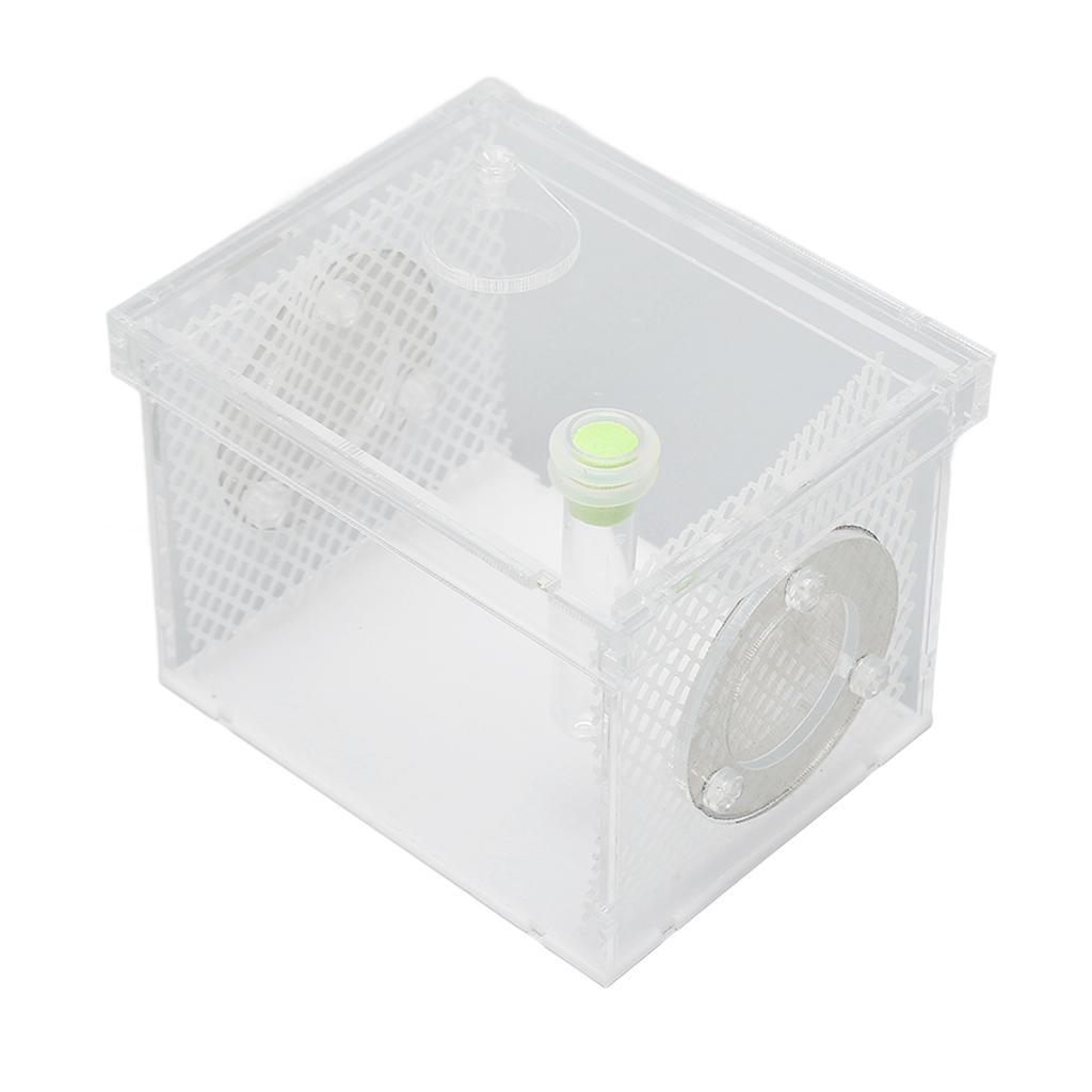 Reptile Insect Enclosure Tank Mini Acrylic High Transparency Moisturizing Reptile Insect Breeding Box S