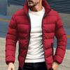 Men Down Coat Stand Collar Long Sleeve Full Zipper Closure Solid