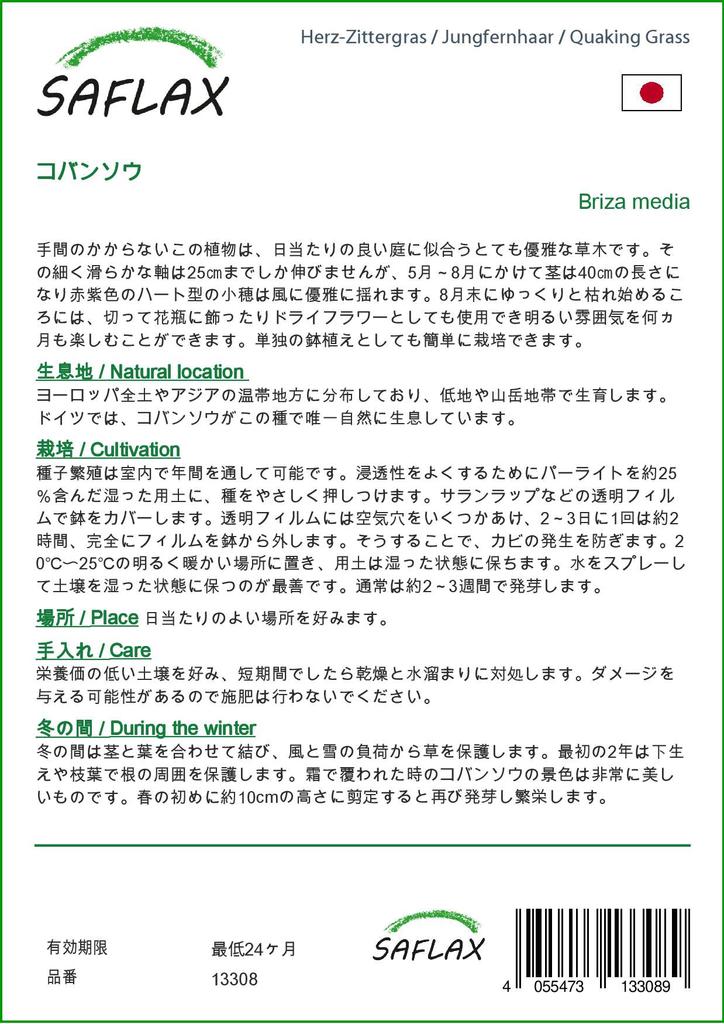 SAFLAX Трава трясущаяся - 75 семян - Бриза медиа