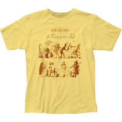 Genesis A Trick of the Tail футболка рок-н-ролл группы полный размер S-4XL