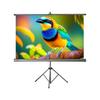 Pang Juren Projector Screens