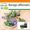 Garden In the Bag - Organic - Borage - 40 Seeds - With Substrate In a Fitting Stand Up Bag - Borago Officinalis
