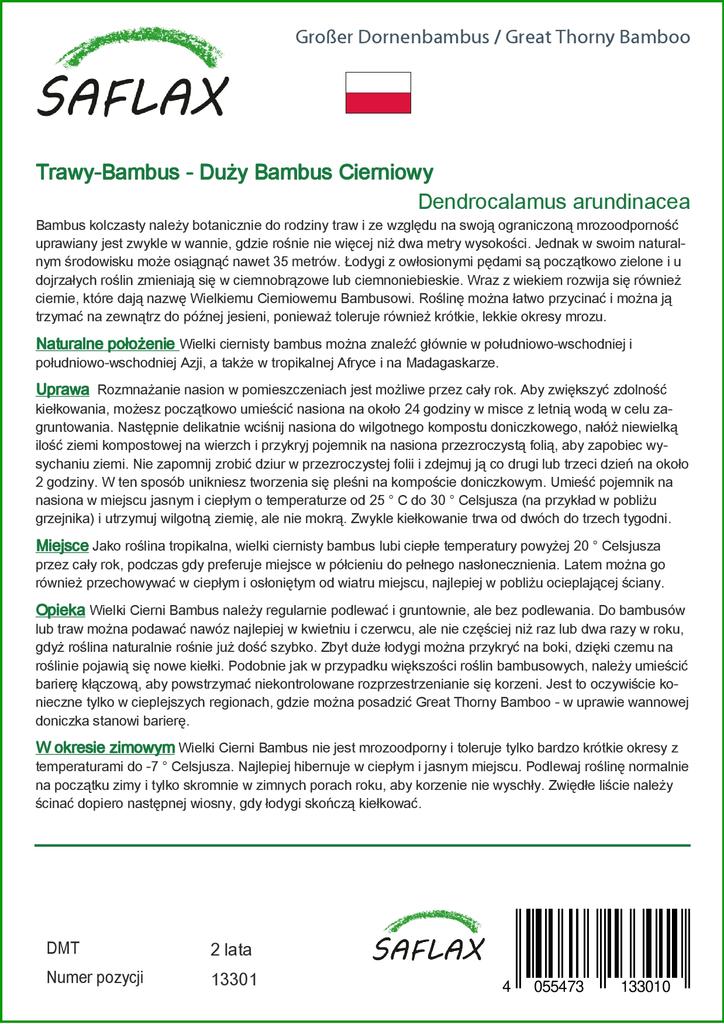 SAFLAX Бамбук большой колючий - 50 семян - Dendrocalamus arundinacea