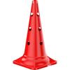 Agility Training Set: Marker Cones, Ice Cream Buckets, Frisbee Discs, Poles, Stakes, Rings, Ladders for Sports & Taekwondo.