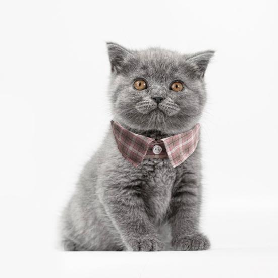 Ошейник для домашних животных с галстуком-бабочкой для кошек, регулируемый воротник в смокинге для кошек, маленьких собак, в британском стиле джентльмена, мягкие дышащие украшения для свадеб, дней рождения