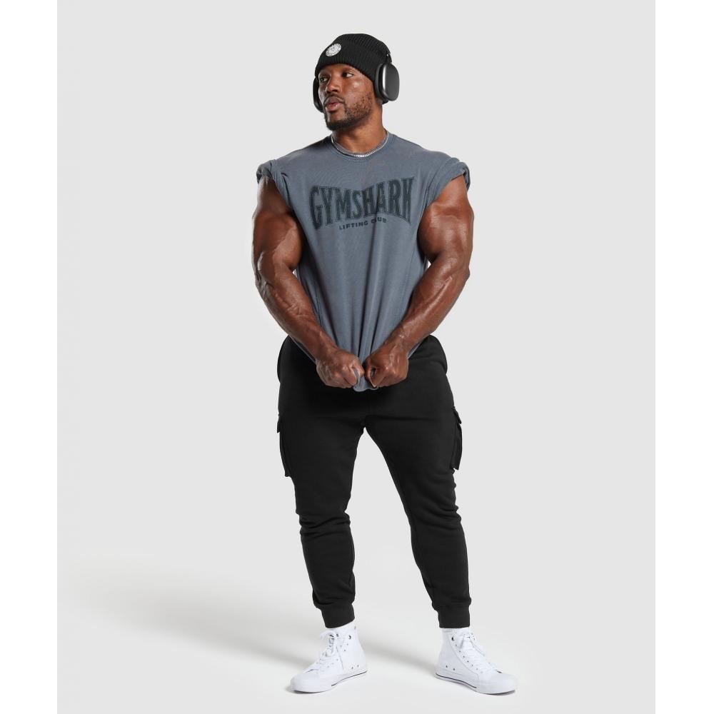 Gymshark Heritage Washed с коротким рукавом Crew Titanium Blue A4a8d Ucms
