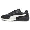 Air Wildwood ACG Черный Антрацит 307778-01 Унисекс Обувь для улицы