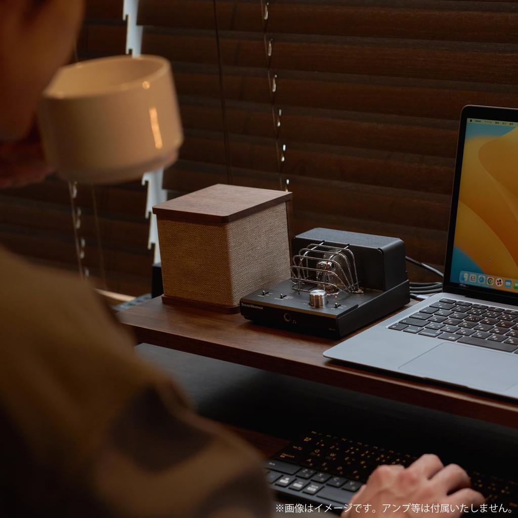 SOUND WARRIOR Made in Japan Cube Type Bookshelf Speaker SW-SP2