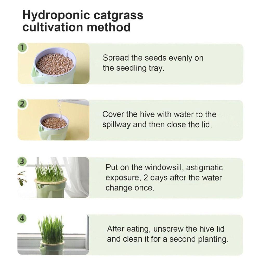 Hydroponic Microgreens Growing Kit Easy To Grow Soilless Planting Box  Cat Snack