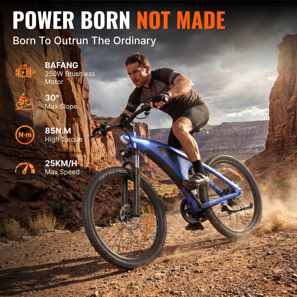 HX Q5 Adult E Bikes Electric Bike 48V20AH Ebikes Electric Dirt Bike Electric Bicycle 85N.M Mountain E Bike 27.5'*2.25' Off-Road Tires