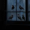 Halloween Themed Black Crow Glass Wall Sticker For Dining Room And Entryway