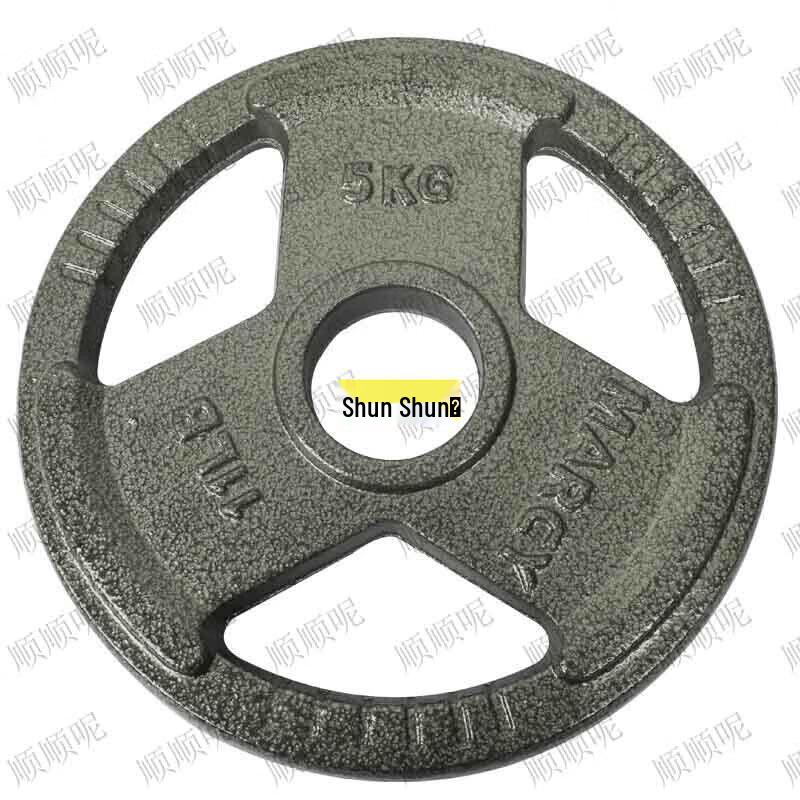 Painted Cast Iron Barbell Dumbbell Weight Plate