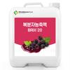 Black Raspberry Concentrate 20 Brix 200g Sample 1 pcs