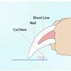 Нержавеющая сталь для домашних животных, щипцы для ногтей, ножницы, средства по уходу за домашними животными, кусачки для ногтей, средства по уходу за когтями кошек, чистящие и ухаживающие принадлежности
