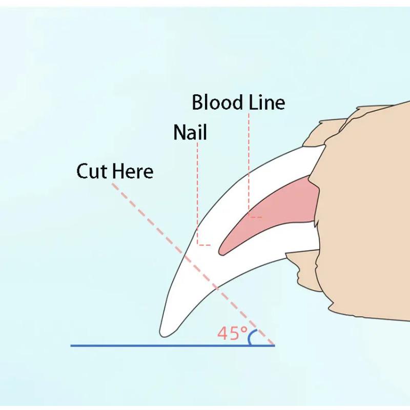 Нержавеющая сталь для домашних животных, щипцы для ногтей, ножницы, средства по уходу за домашними животными, кусачки для ногтей, средства по уходу за когтями кошек, чистящие и ухаживающие принадлежности