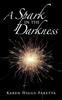 Книга A Spark In the Darkness
