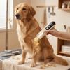 Low Noise Pet Hair Clipper Professional Electric Nail Trimmer Cat Shaver  Pet Grooming