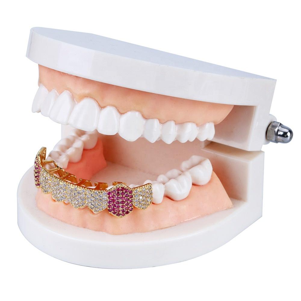 High Quality Micro Pave Zircon 8pcs/row New Arrival Design Body Jewelry Lower Down Teeth Grills Gold Pink Teeth Grillz for Teeth