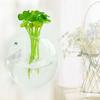 Прочный гидропонный цветочный террариум, шарообразный цветочный горшок, стеклянная ваза, гидропонная ваза, стеклянные бутылки