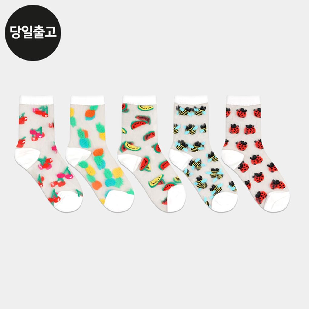 PG Women's/Student Fruit Insect See-Through Mid-Calf Socks (3 Pairs) Set Daily Student Mesh