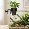 Top Hanging Fish Tank Greenery Holder Soilless Cultivation Aquarium Planter Cups  Landscaping