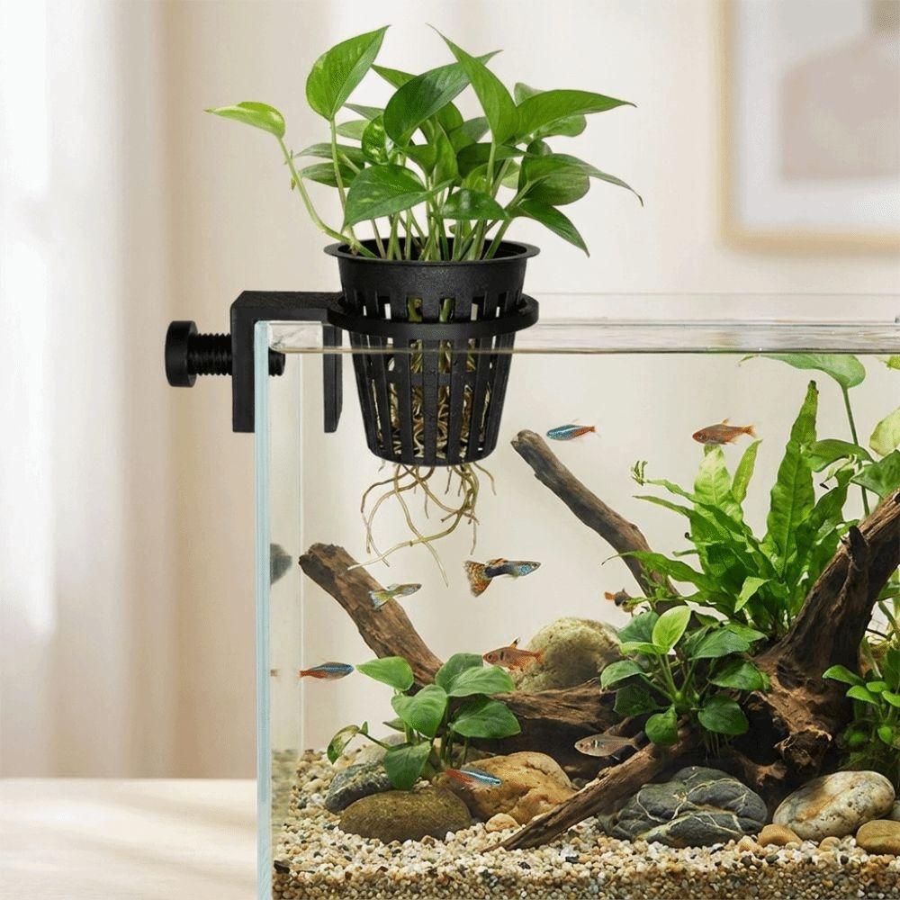 Soilless Cultivation Fish Tank Greenery Holder Top Hanging Aquarium Planter Cups Planted Tank