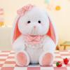 Long Ear Bunny Plushies Doll Pink Rabbit Stuffed Animals Plush Toy Holland Lop Plush Toy  Birthday