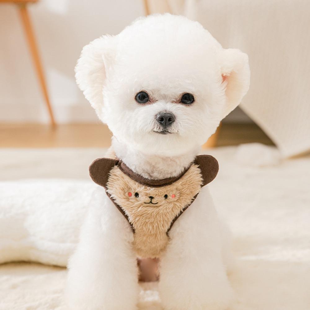 Spring Korean Version of the Bear Can Be Towed Vest Two-legged Fleece Jacket Small Dog Teddy Dog Cat Pet Clothes