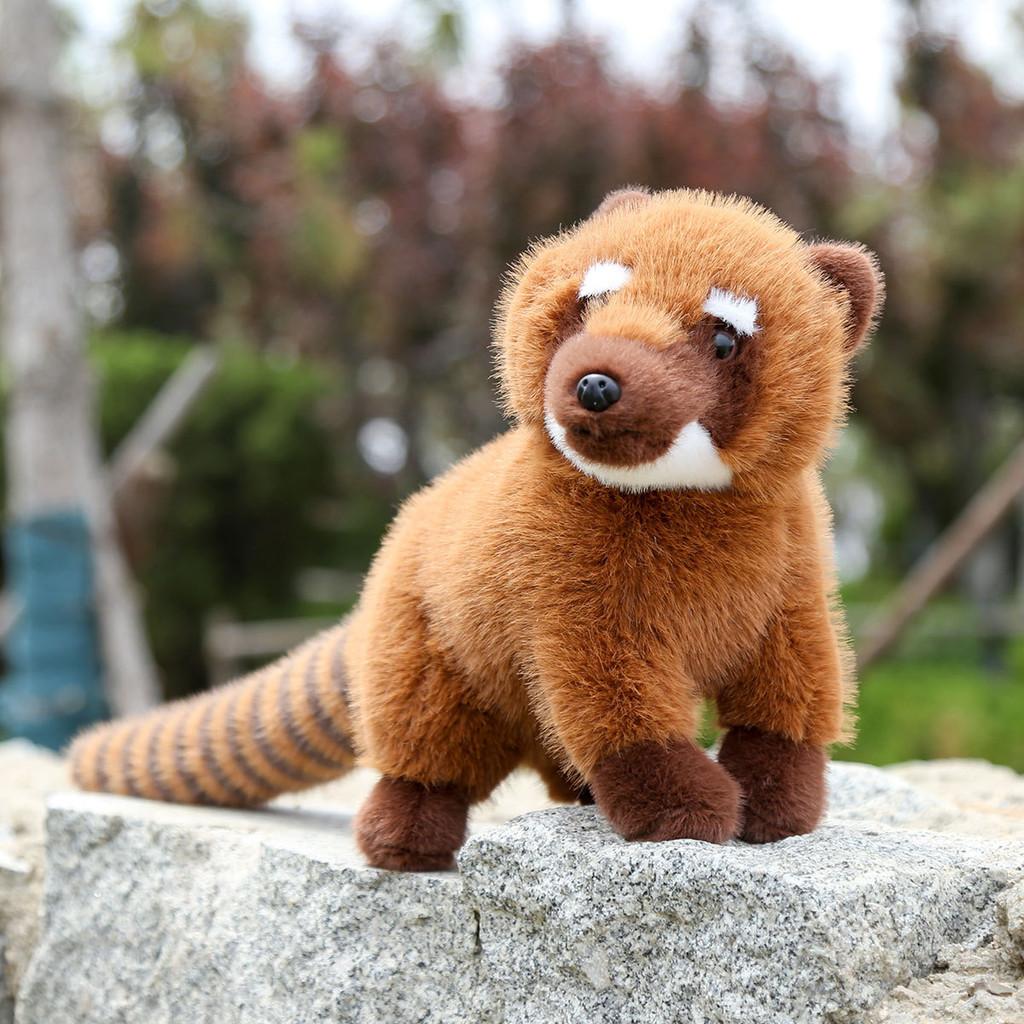 South American Coati Raccoon Plush Doll Animal Cushion Birthday Children Present