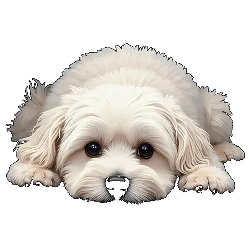 Женская повседневная футболка свободного кроя черного цвета с милым принтом мальтийской собачки для повседневной носки и любителей домашних животных