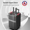 W-King K12 Portable Trolley Bluetooth Karaoke Speaker