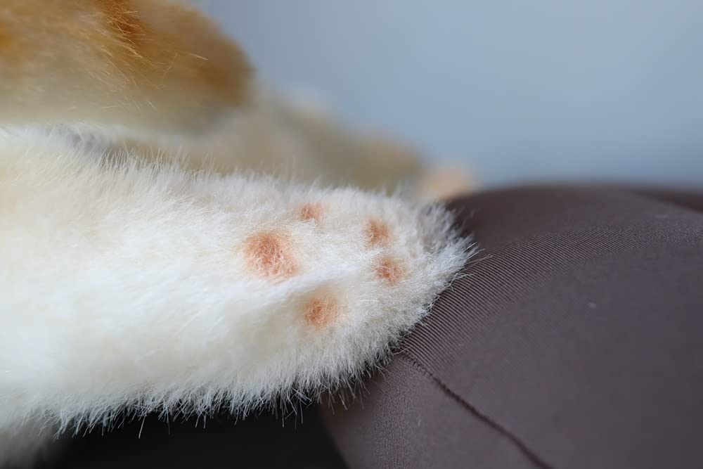 Реалистичная мягкая игрушка кошка, сделанная в Японии, с детской биркой-лентой, 58 см (тигрово-карие глаза L) Настоящий кот подарок на день рождения подарок празднование