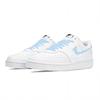 Nike Court Vision 1 Wave Pu Slip Resistant Cushioning Abrasion Resistant Balance Low top Skateboard Shoes Men's DH2987-101(Team2109-SBOX)