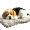LilMou Cute Realistic Dog Plush Soothing Sleeping Realistic Design with Activated Deodorizing and Perfect for Indoors and Perfect As a Gift or Gift