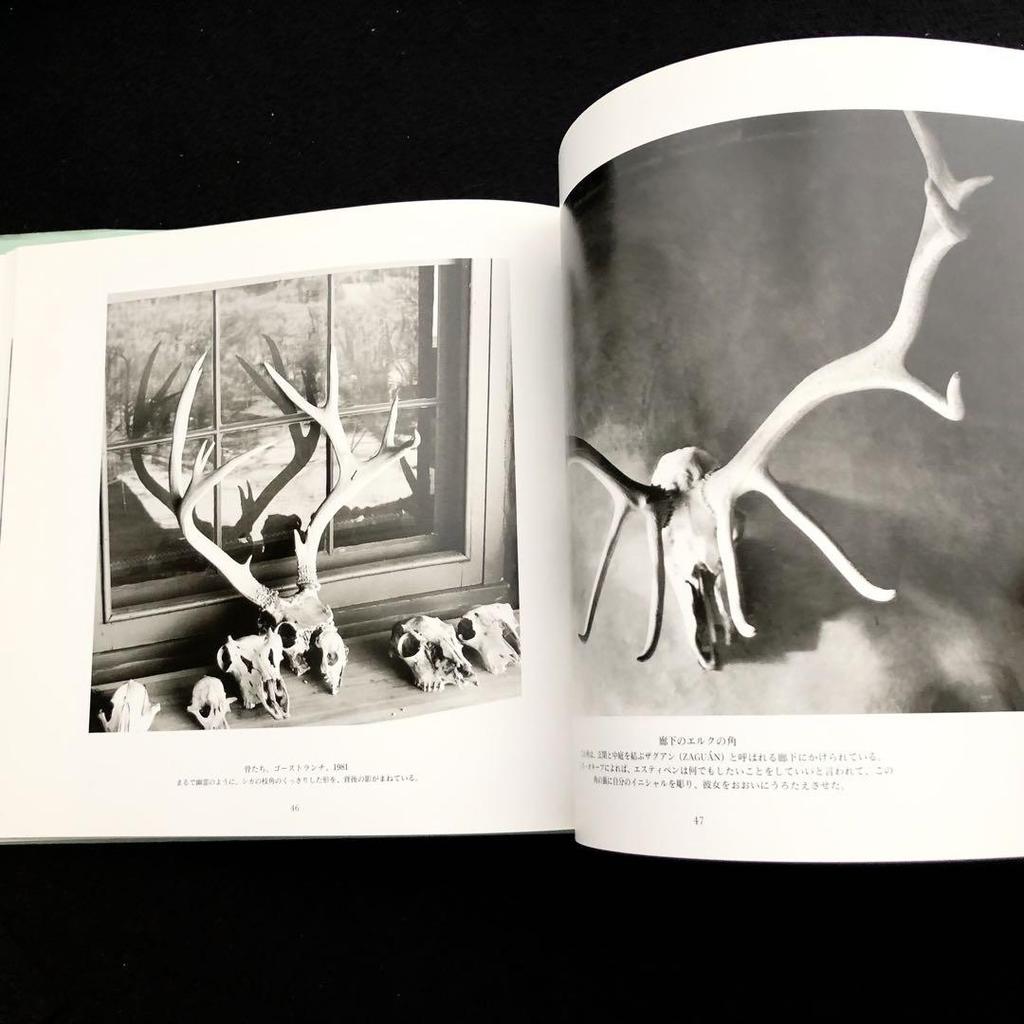 [ИСПОЛЬЗОВАННЫЙ] Коллекция фотографий Джорджии О'Киф "Дом О'Киф" 2004 Media Factory