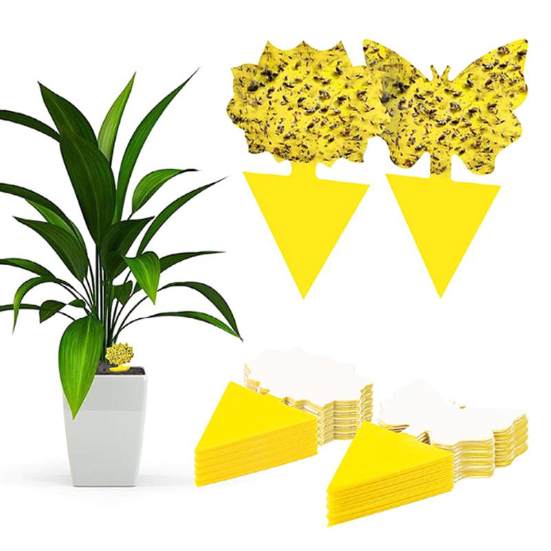 20 шт. Ловушки для насекомых Защищают растение Двусторонние ловушки для комаров Нетоксичные и без запаха Липкие доски-ловушки для садовых растений и кухни
