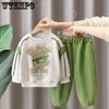 Boys' Spring and Autumn Hoodie Set Autumn Children's Clothing Boys' Clothing Autumn Two-piece Set
