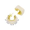 1 Pair Copper Acrylic Earrings 18K Gold Plated Hoop Earrings Resin Earrings  Daily Wear