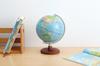 Глобус Reimei Fujii, рекомендуемый учителем для начальной школы, 20 см, OYV11