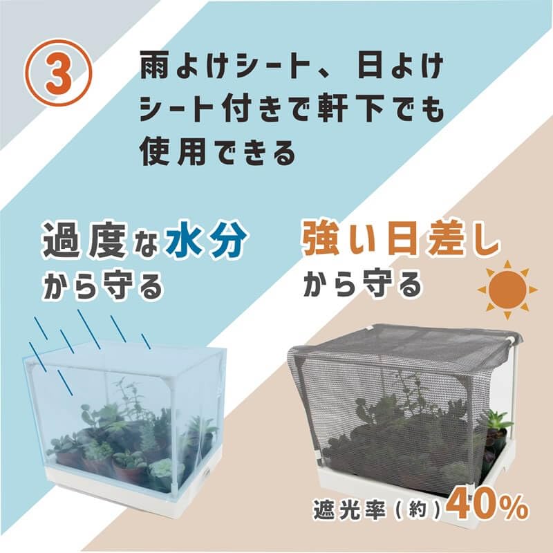 Теплица для суккулентных растений DAIM 35x28x29 см, белая