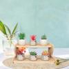 Plant Stand Display Riser Mini Solid Wood Planter Holder Shelf Flower Pot for Home